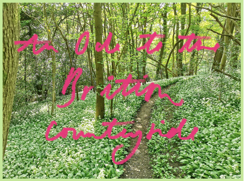 Our Ode to the British Countryside