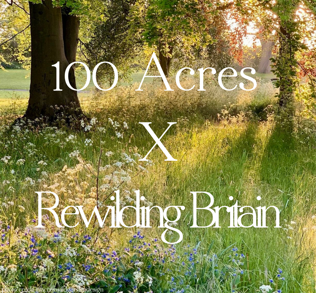 100 Acres X Rewilding Britain
