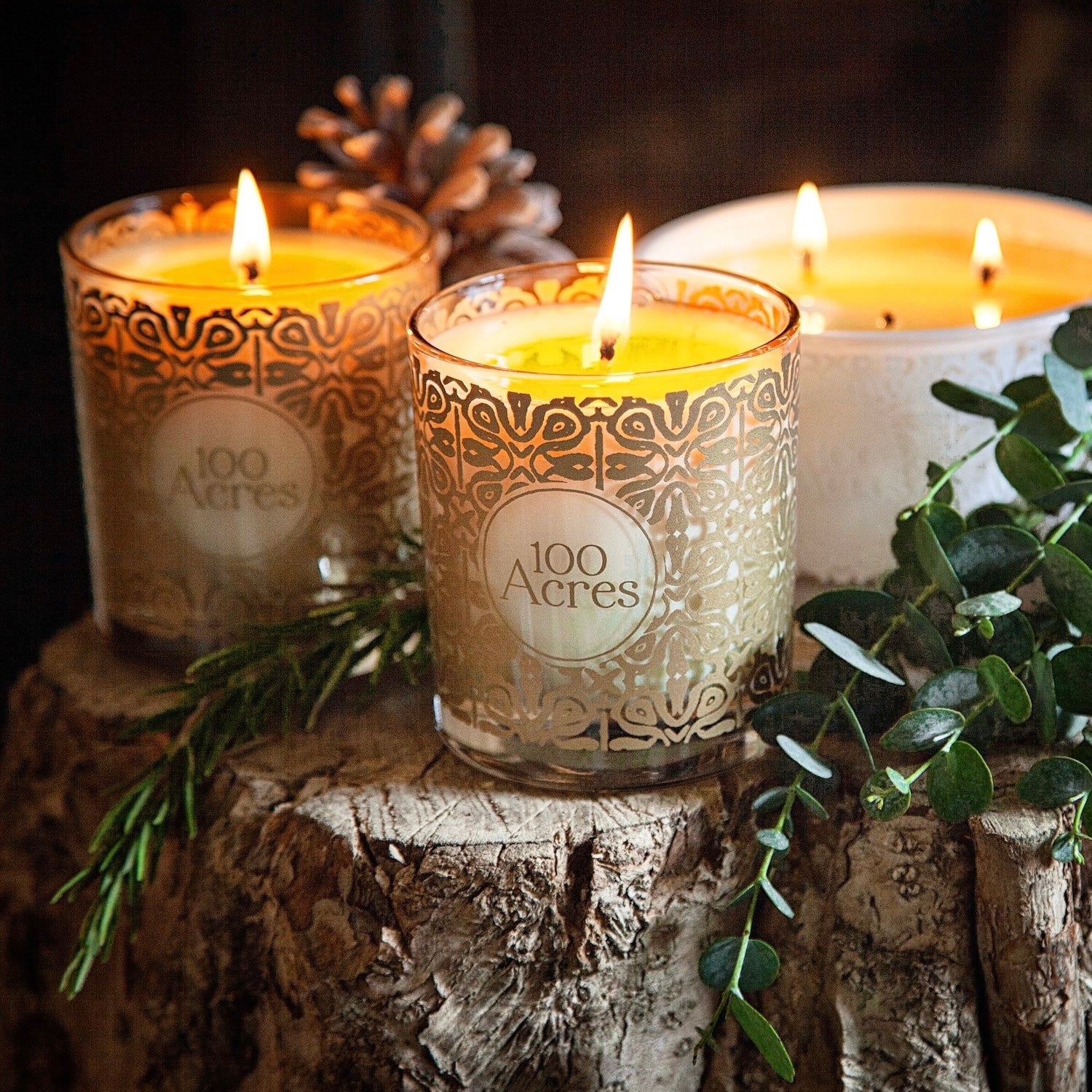 100 Acres | Luxury Natural Winter Scented Candle